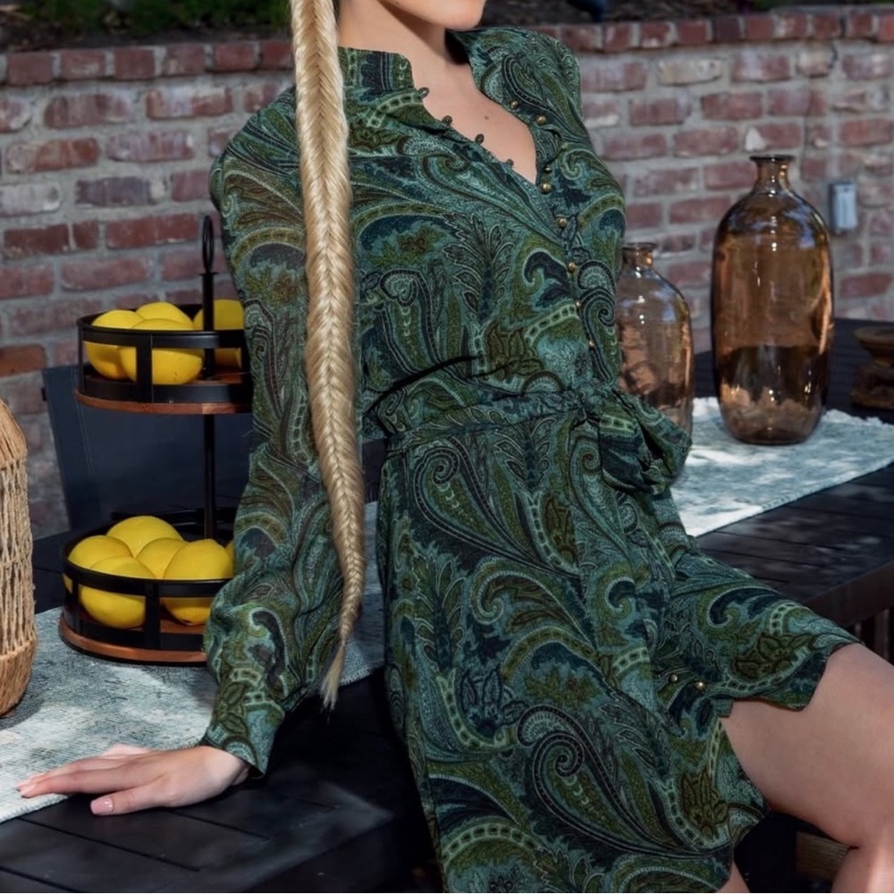 Elegant Green Paisley Dress - Picture 4 of 7